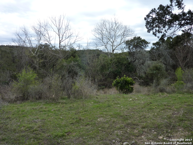 17032 Scenic Loop Road, HELOTES, TX, 78023 | 1227537 | Realty Texas LLC