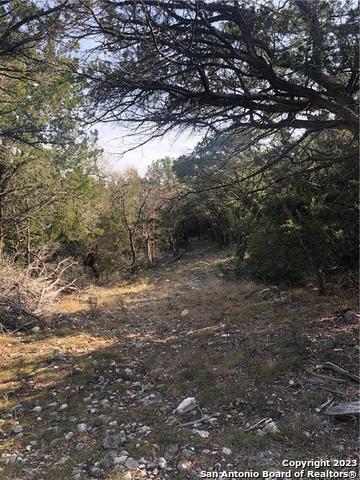 2763 E Ranch Rd 337 , Leakey, TX, 78873 | 1677391 | Realty Texas LLC