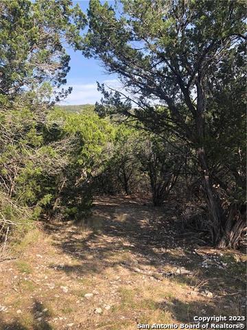 2763 E Ranch Rd 337 , Leakey, TX, 78873 | 1677391 | Realty Texas LLC