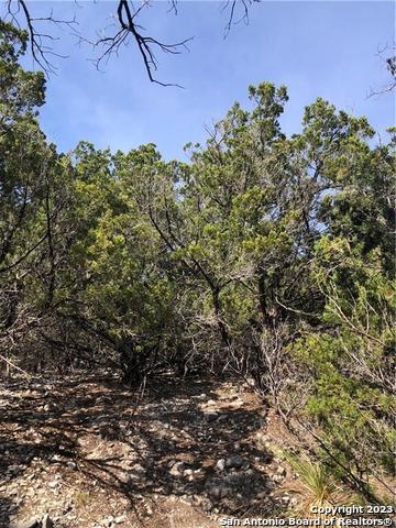 2763 E Ranch Rd 337 , Leakey, TX, 78873 | 1677391 | Realty Texas LLC