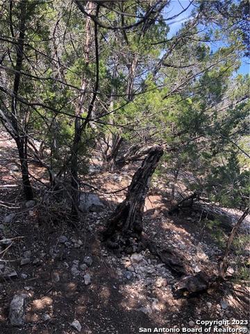 2763 E Ranch Rd 337 , Leakey, TX, 78873 | 1677391 | Realty Texas LLC