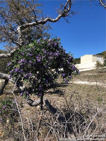 2763 E Ranch Rd 337 , Leakey, TX, 78873 | 1677391 | Realty Texas LLC