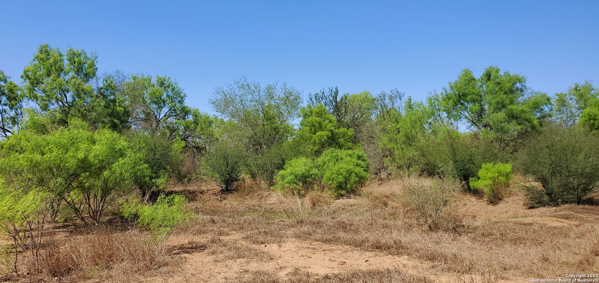 001 Comanche Lane , Cotulla, TX, 78014 | 1678450 | Realty Texas LLC