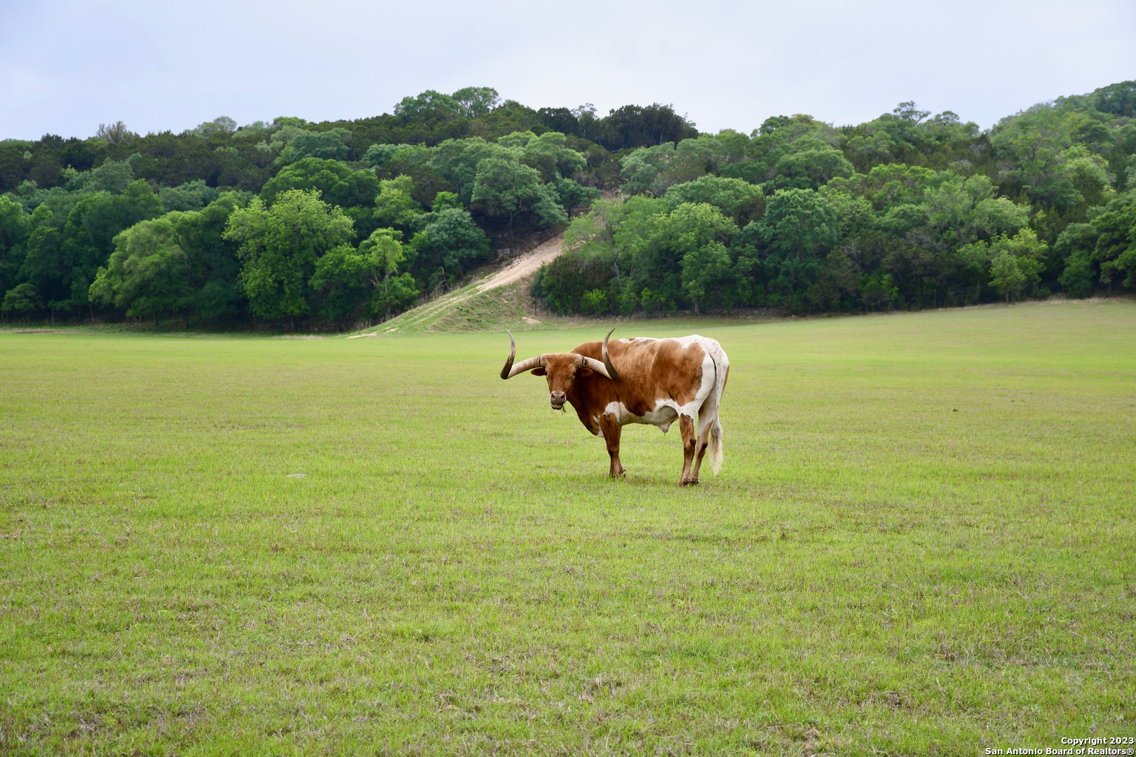 124 Tx-46 W , Boerne, TX, 78006 | 1682104 | Realty Texas LLC