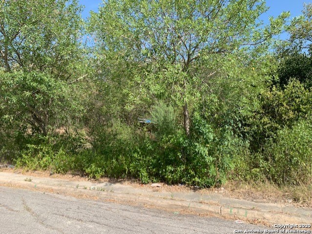 415 Coyol St , San Antonio, TX, 78237 | 1489318 | Realty Texas LLC