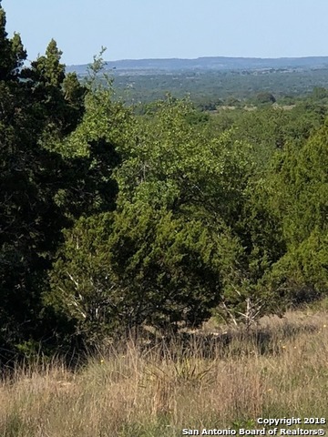 0 Stanton Rd , Johnson City, TX, 78606 | 1314997 | Realty Texas LLC