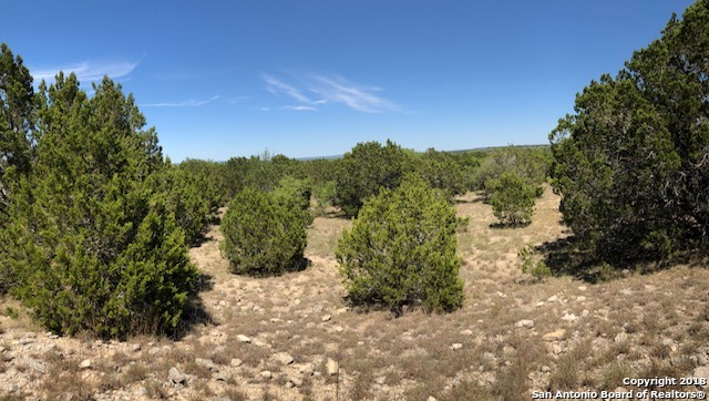 0 Stanton Rd , Johnson City, TX, 78606 | 1314997 | Realty Texas LLC