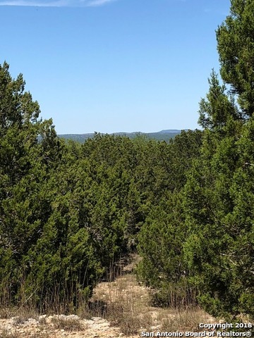 0 Stanton Rd , Johnson City, TX, 78606 | 1314997 | Realty Texas LLC