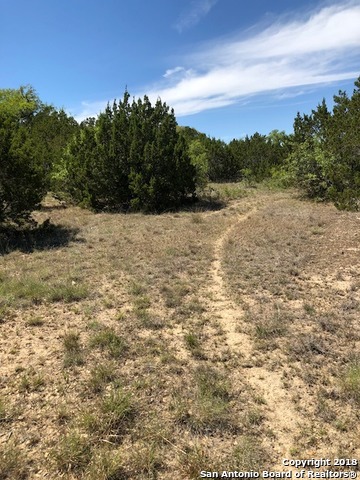 0 Stanton Rd , Johnson City, TX, 78606 | 1314997 | Realty Texas LLC