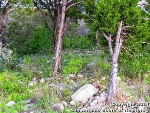 Lot 230 Pr 1720 , Mico, TX, 78056 | 1046280 | Realty Texas LLC