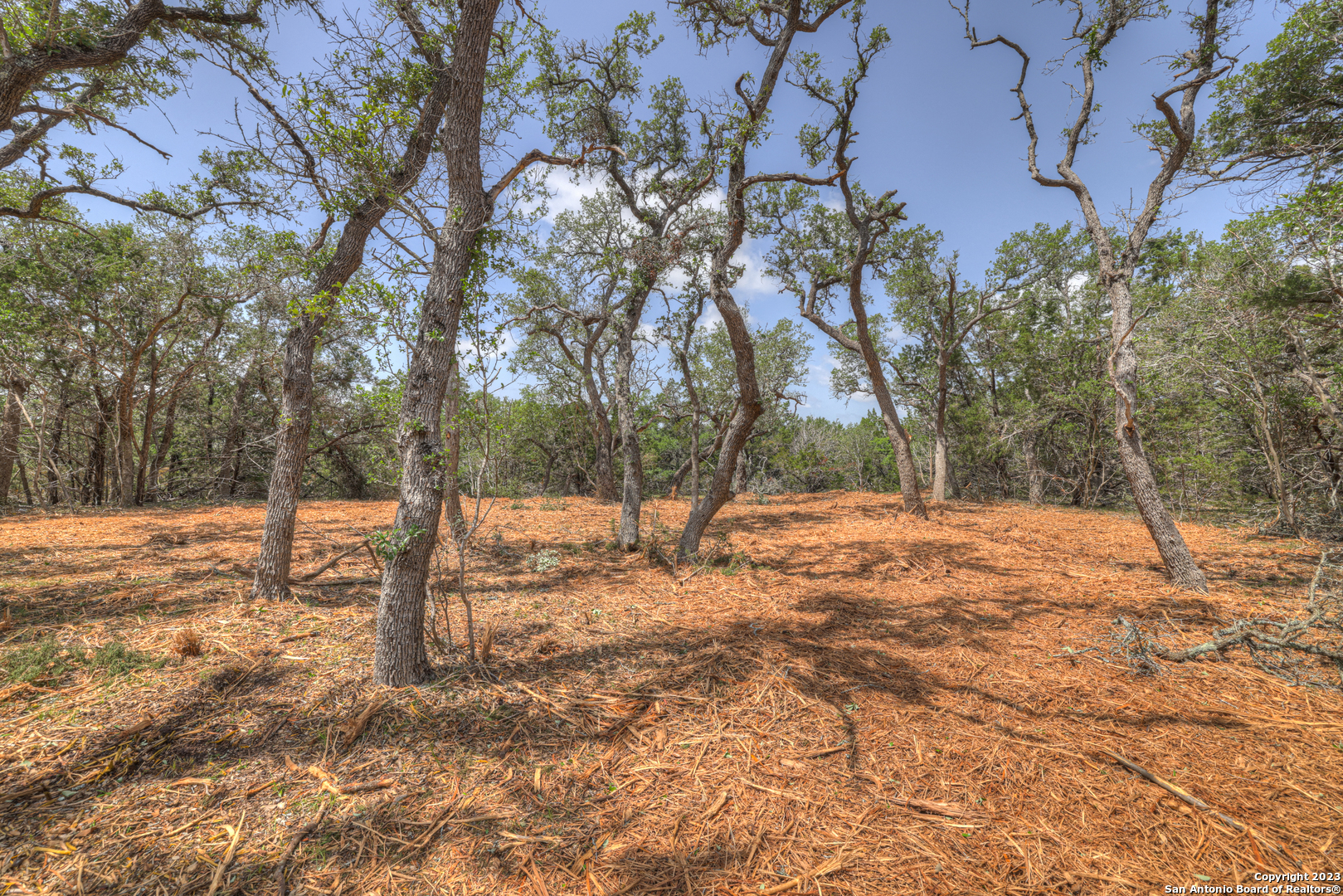 1158 Madrone Rd , Fischer, TX, 78623 | 1683361 | Realty Texas LLC