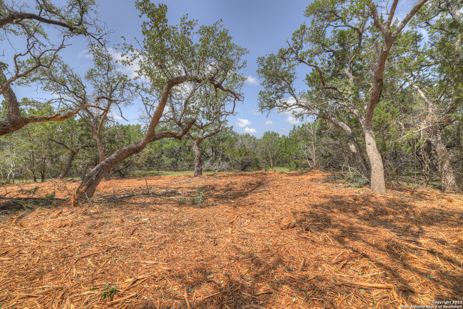 1158 Madrone Rd , Fischer, TX, 78623 | 1683361 | Realty Texas LLC