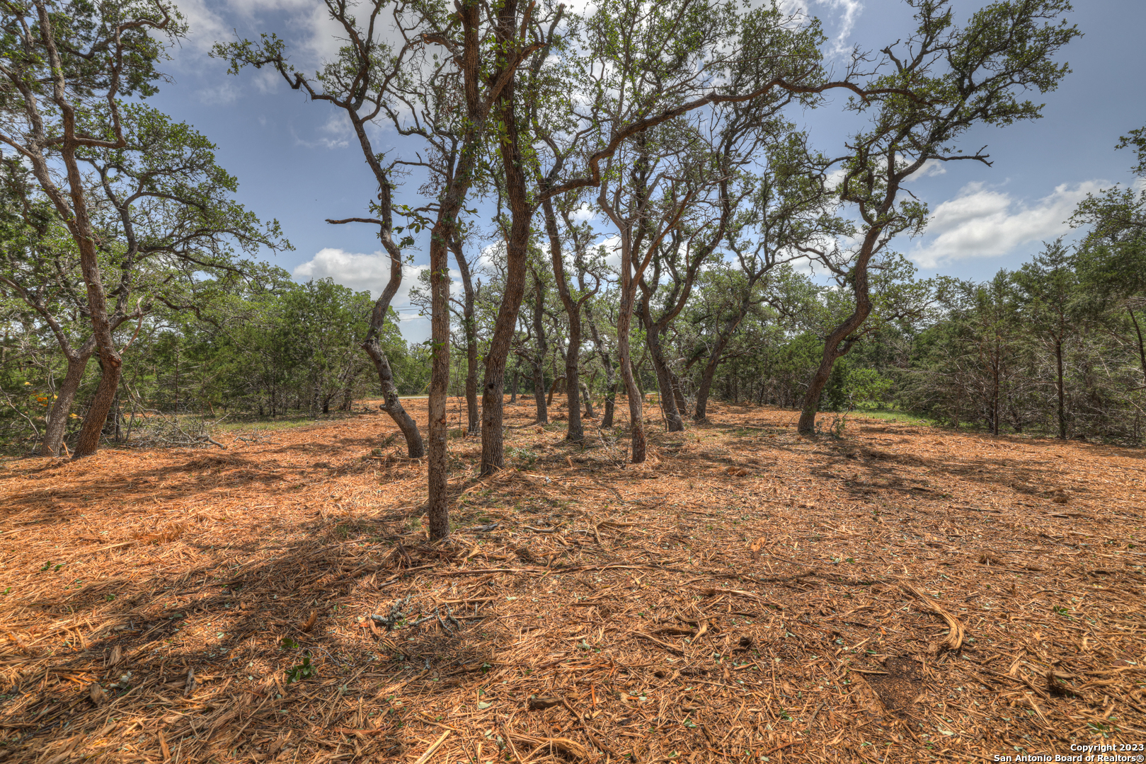 1158 Madrone Rd , Fischer, TX, 78623 | 1683361 | Realty Texas LLC