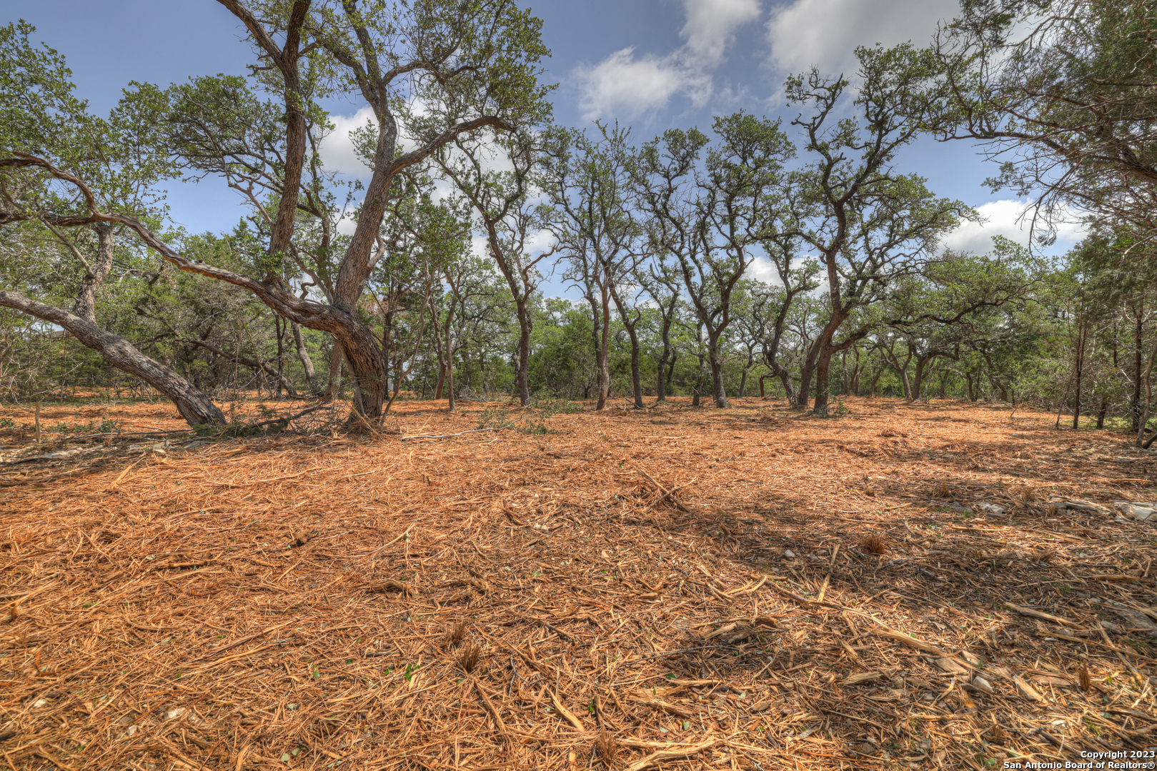 1158 Madrone Rd , Fischer, TX, 78623 | 1683361 | Realty Texas LLC