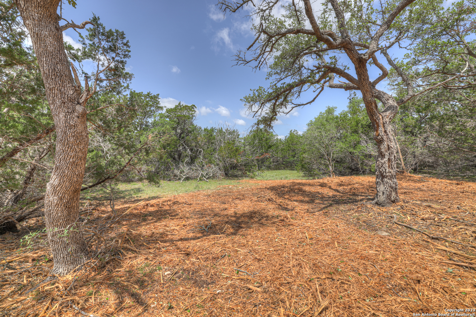 1158 Madrone Rd , Fischer, TX, 78623 | 1683361 | Realty Texas LLC