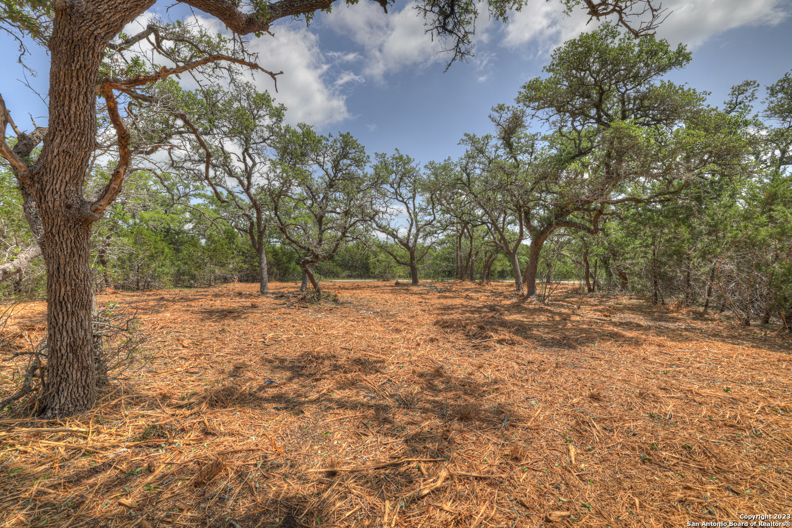 1158 Madrone Rd , Fischer, TX, 78623 | 1683361 | Realty Texas LLC