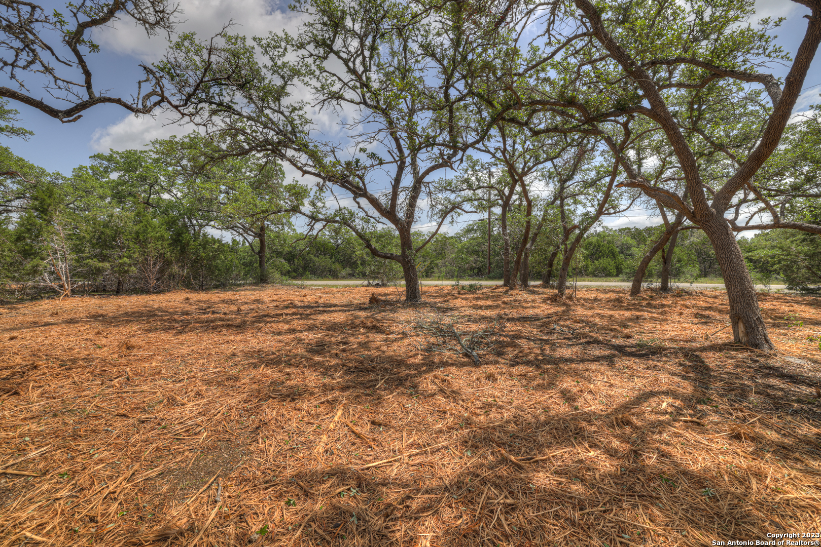 1158 Madrone Rd , Fischer, TX, 78623 | 1683361 | Realty Texas LLC