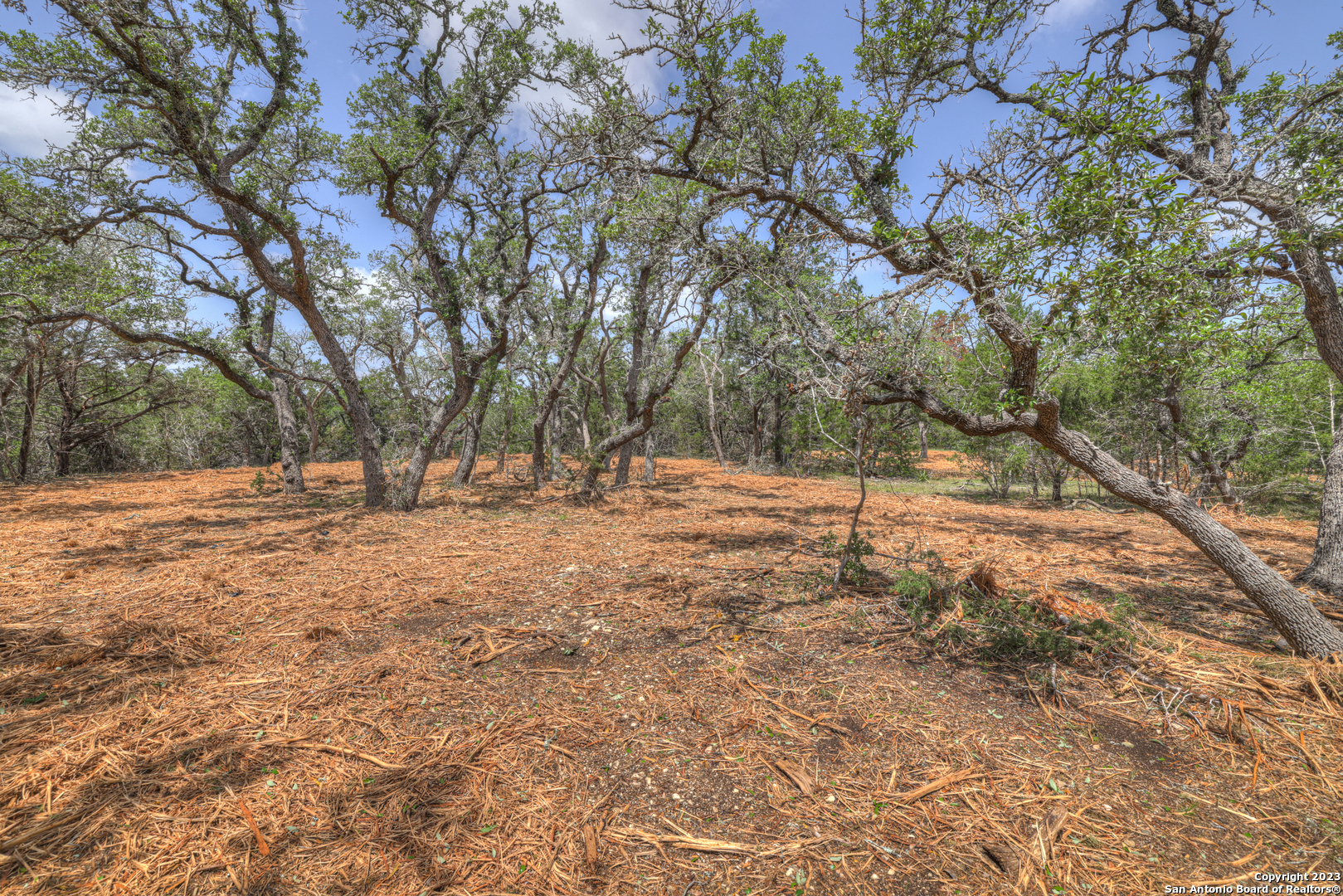 1158 Madrone Rd , Fischer, TX, 78623 | 1683361 | Realty Texas LLC