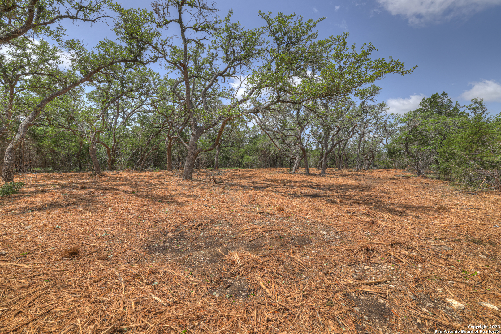 1158 Madrone Rd , Fischer, TX, 78623 | 1683361 | Realty Texas LLC
