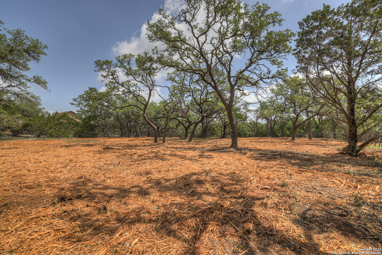 1154 Madrone Rd , Fischer, TX, 78623 | 1683346 | Realty Texas LLC