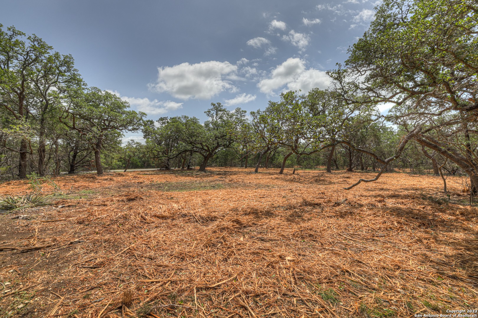 1154 Madrone Rd , Fischer, TX, 78623 | 1683346 | Realty Texas LLC