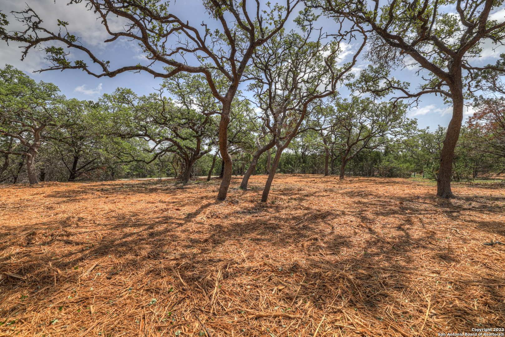 1154 Madrone Rd , Fischer, TX, 78623 | 1683346 | Realty Texas LLC