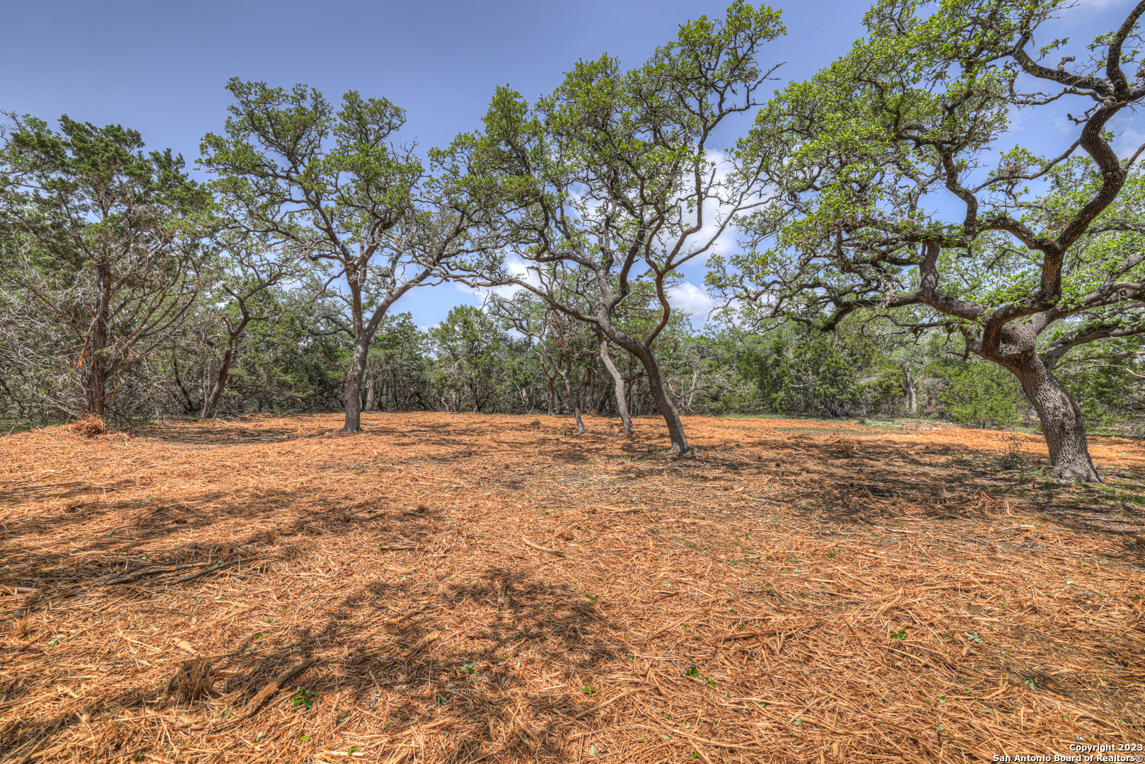 1154 Madrone Rd , Fischer, TX, 78623 | 1683346 | Realty Texas LLC