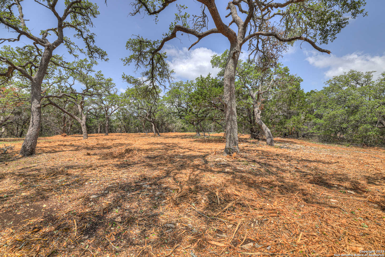 1154 Madrone Rd , Fischer, TX, 78623 | 1683346 | Realty Texas LLC