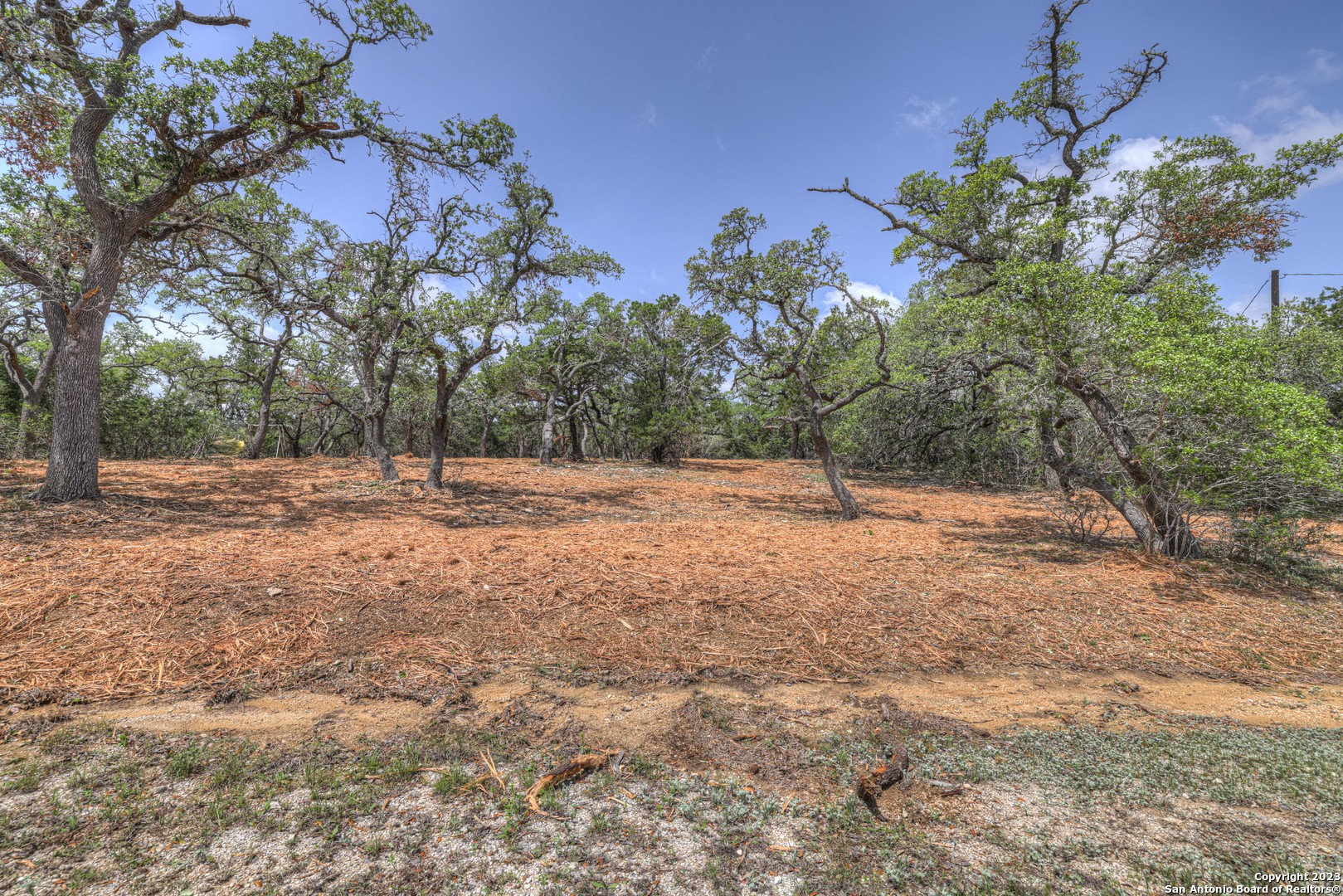 1154 Madrone Rd , Fischer, TX, 78623 | 1683346 | Realty Texas LLC