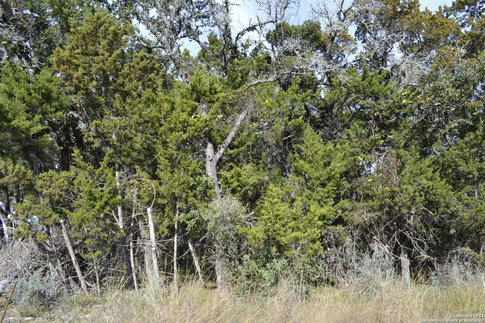 Lot-304 Whartons Dock, BANDERA, TX, 78003 | 1578918 | Realty Texas LLC