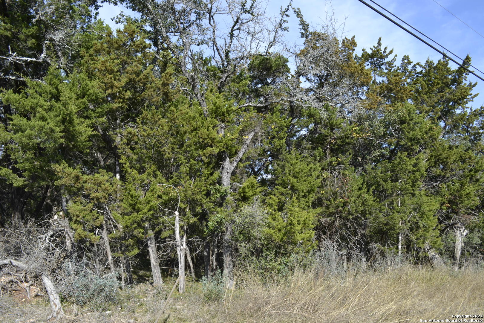 Lot-304 Whartons Dock, BANDERA, TX, 78003 | 1578918 | Realty Texas LLC