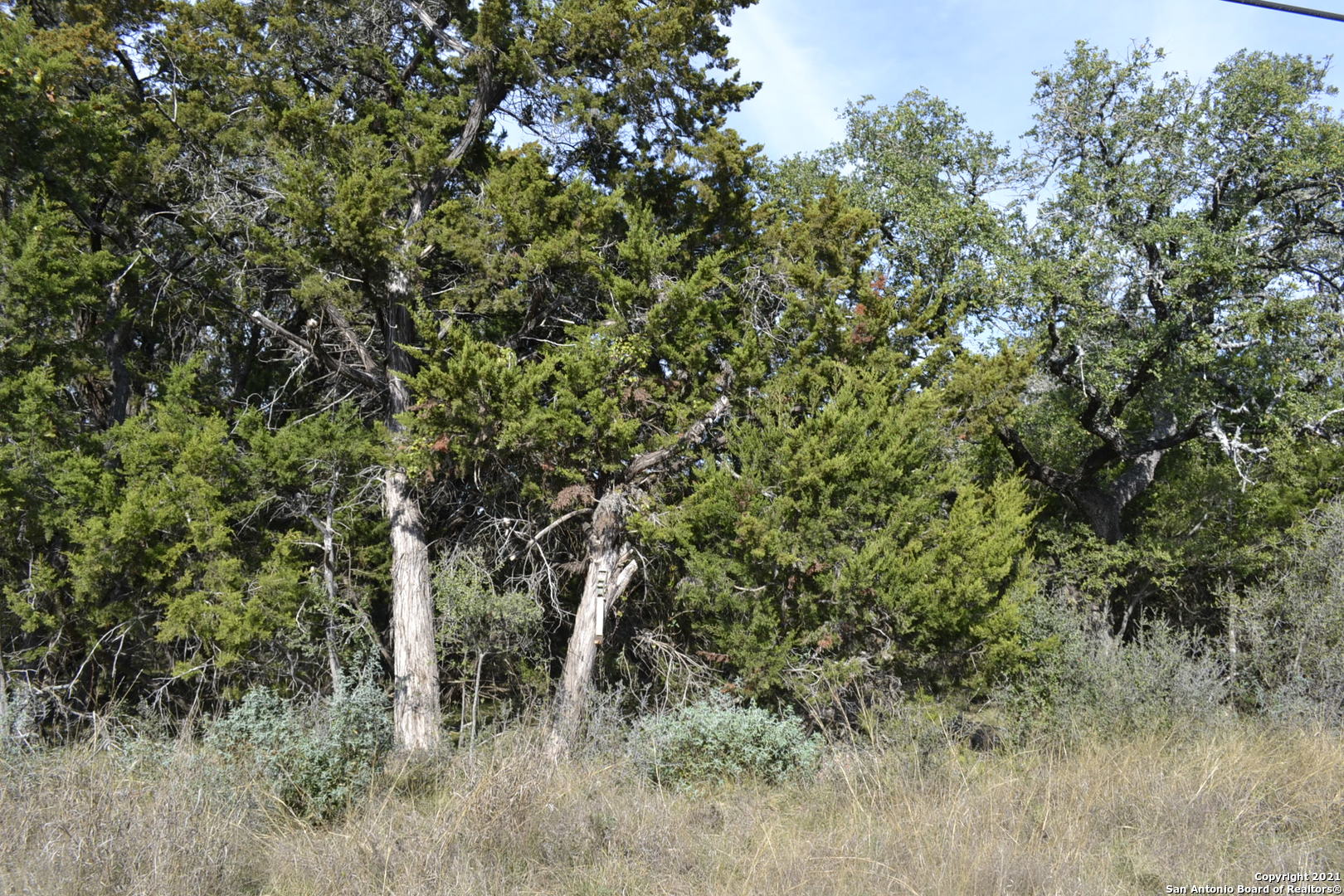 Lot-304 Whartons Dock, BANDERA, TX, 78003 | 1578918 | Realty Texas LLC