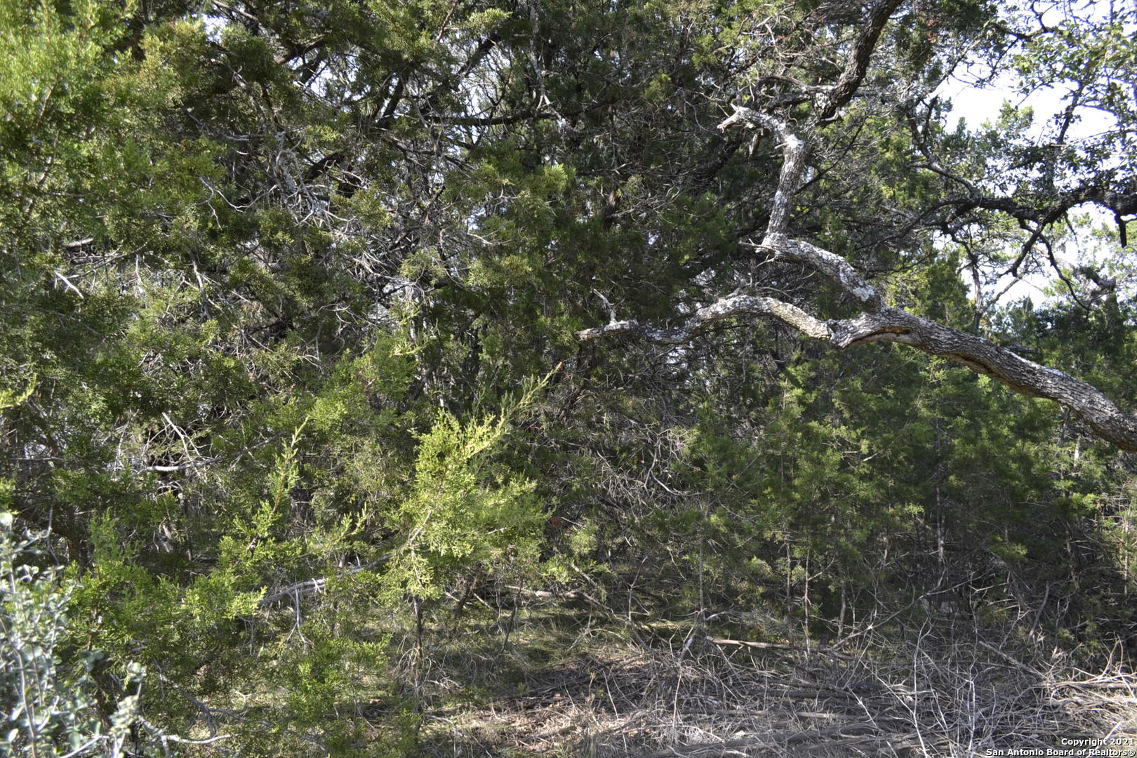 Lot-304 Whartons Dock, BANDERA, TX, 78003 | 1578918 | Realty Texas LLC