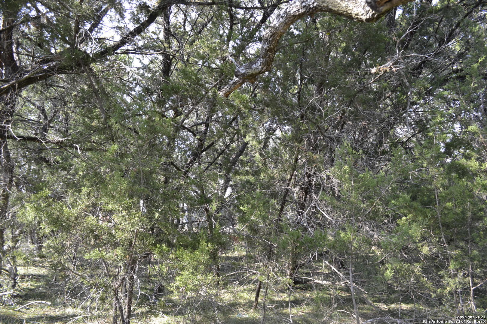 Lot-304 Whartons Dock, BANDERA, TX, 78003 | 1578918 | Realty Texas LLC