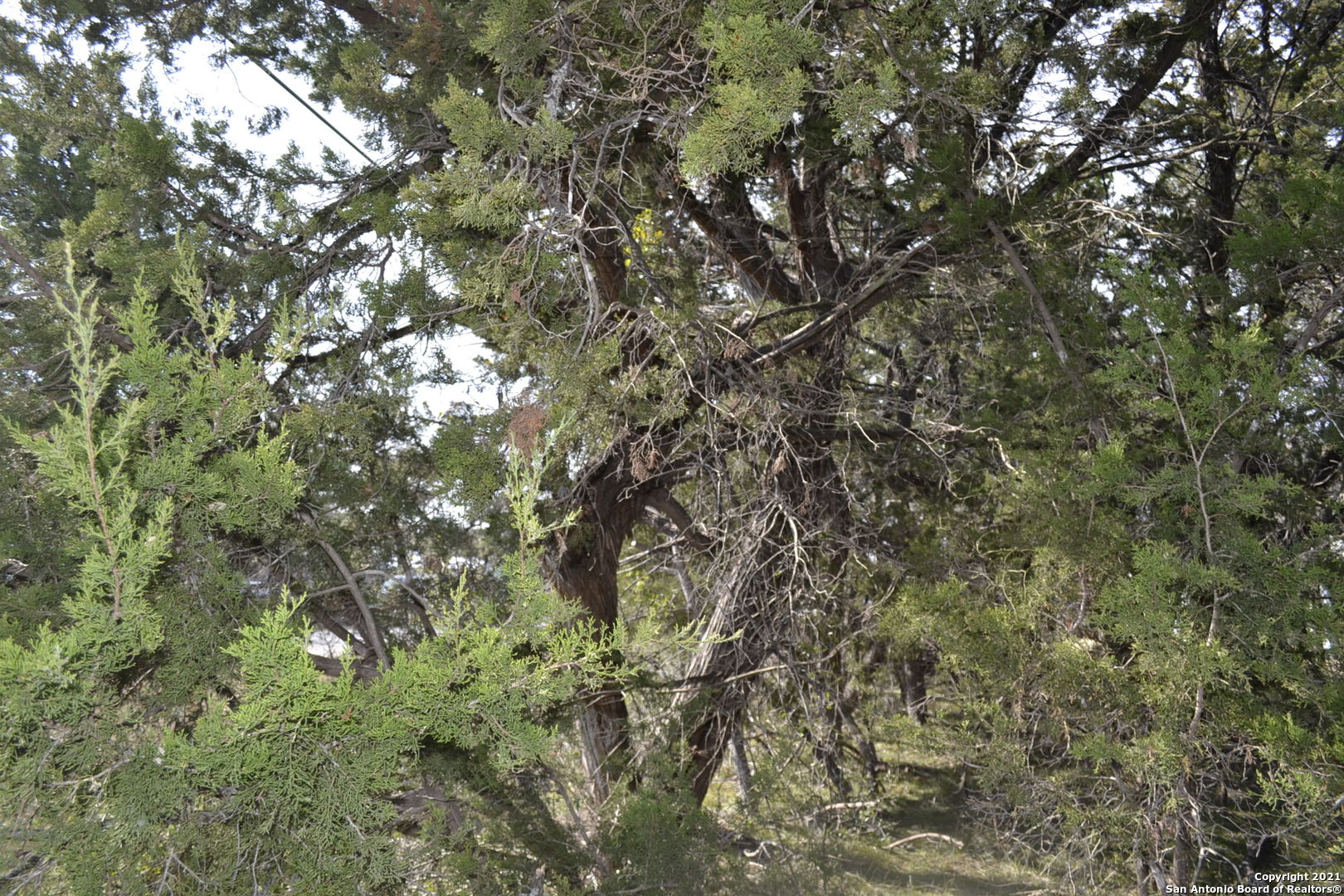 Lot-304 Whartons Dock, BANDERA, TX, 78003 | 1578918 | Realty Texas LLC