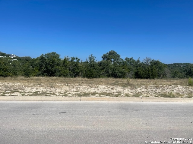 11220 Kendall Canyon , San Antonio, TX, 78225 | 1711728 | Realty Texas LLC
