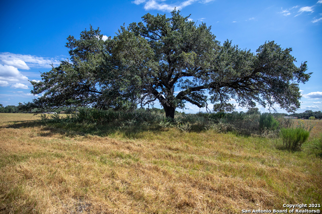 5614 Us Highway 181 N , Floresville, TX, 78114 | 1564519 | Realty Texas LLC