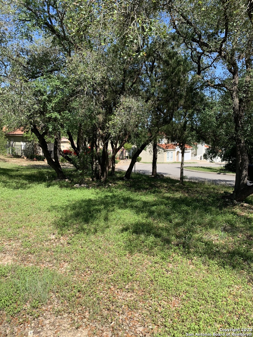 15411 Borja Dr , San Antonio, TX, 78247 | 1462162 | Realty Texas LLC
