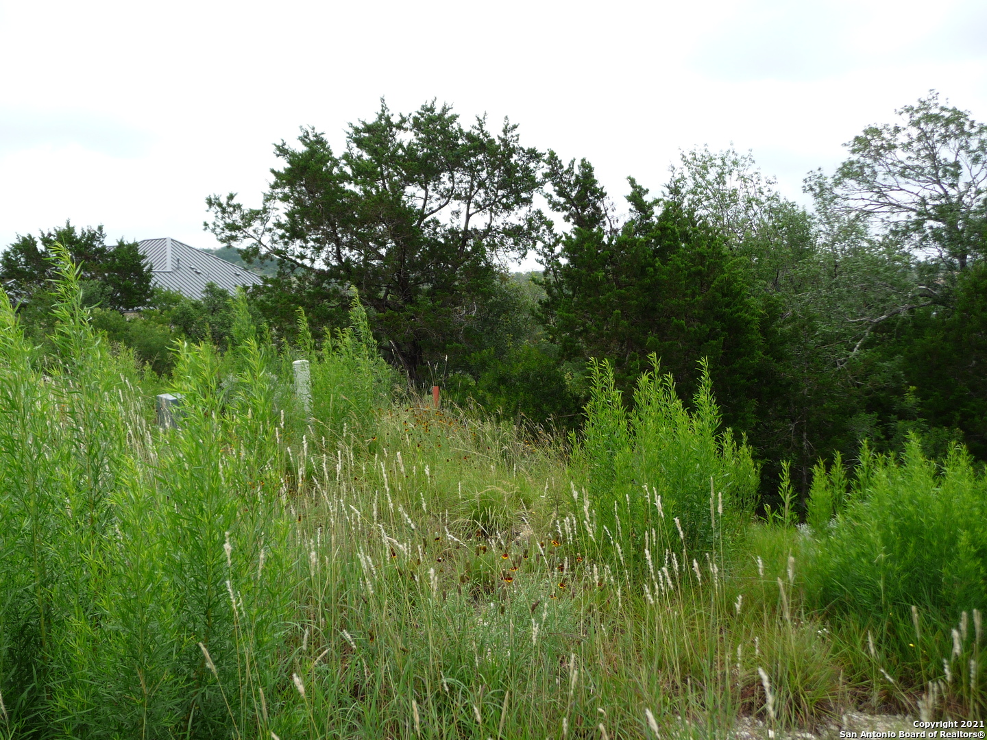 10039 Ivory Cyn , San Antonio, TX, 78260 | 1566253 | Realty Texas LLC