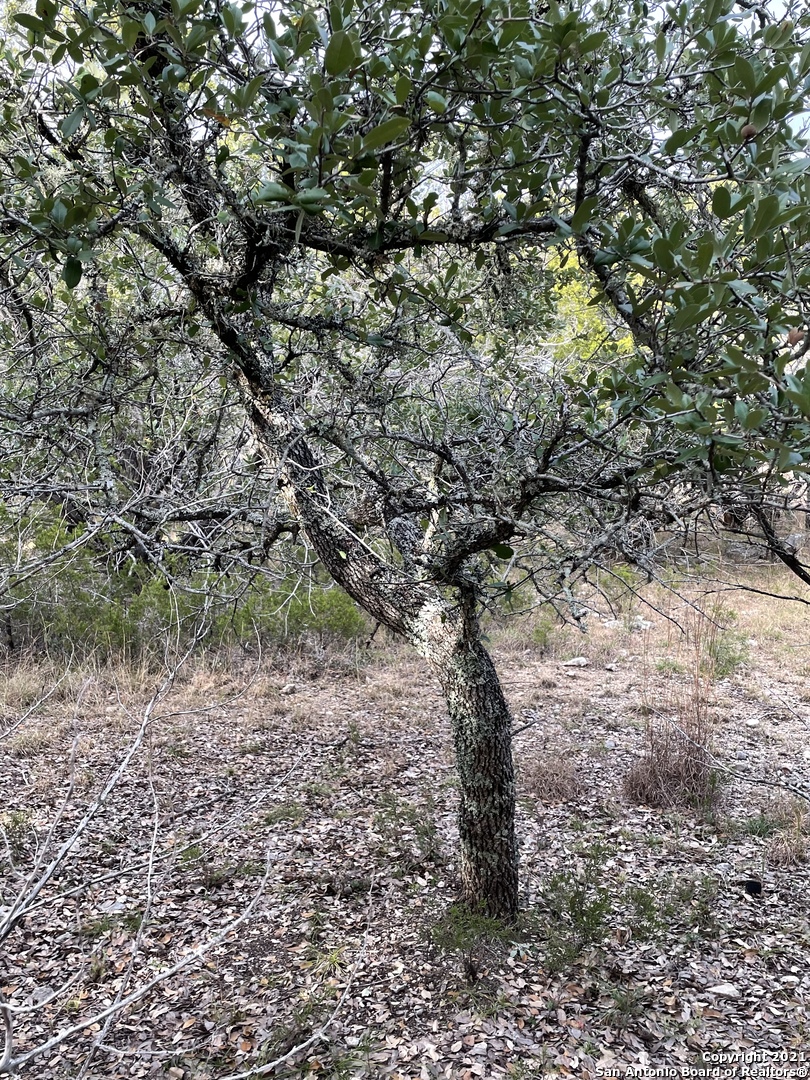 1490 Red Rock Rd., BLANCO, TX, 78606 | 1577048 | Realty Texas LLC