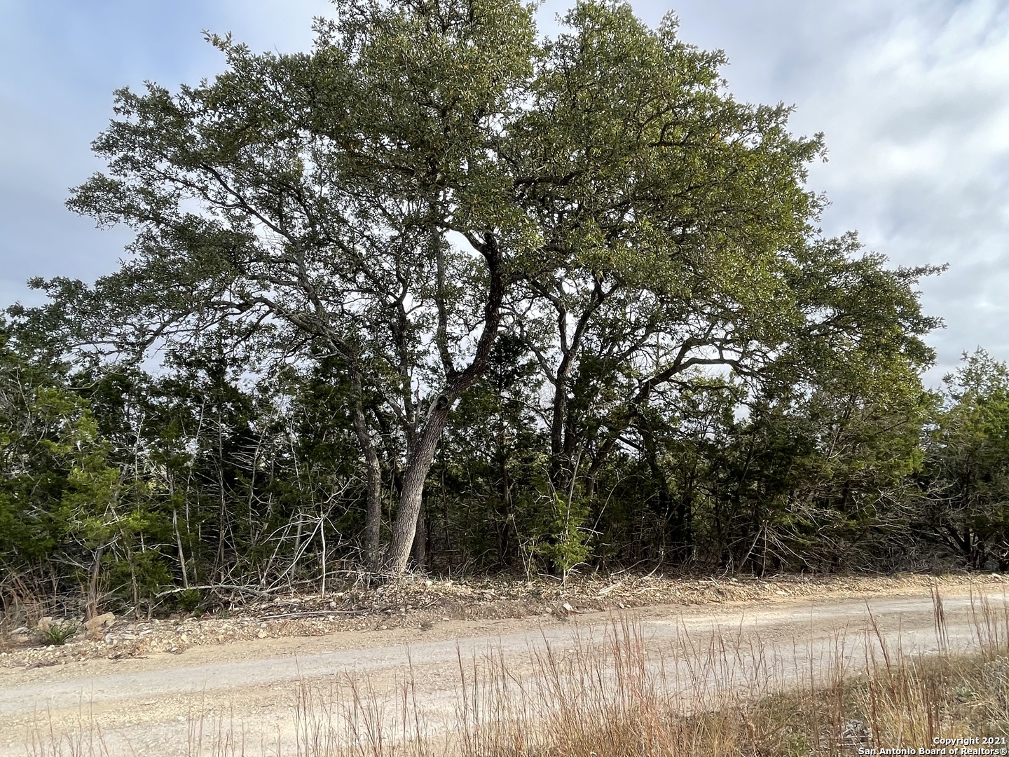 1490 Red Rock Rd., BLANCO, TX, 78606 | 1577048 | Realty Texas LLC