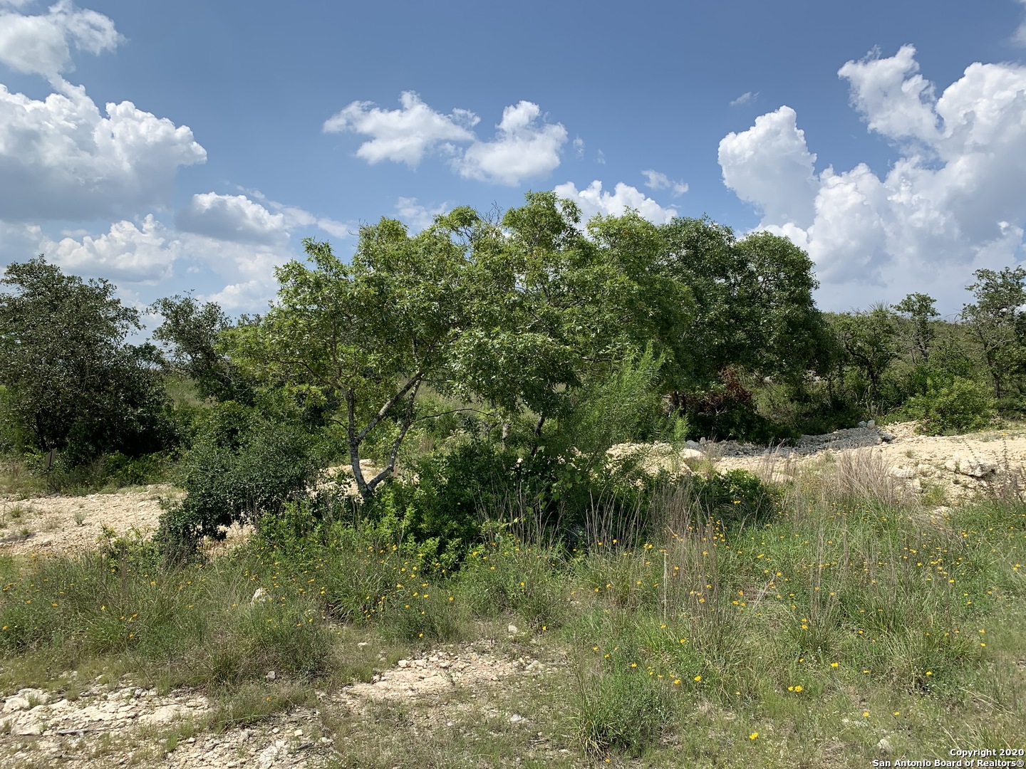 Lot 37 Homestead Mesa , San Antonio, TX, 78255 | 1418300 | Realty Texas LLC