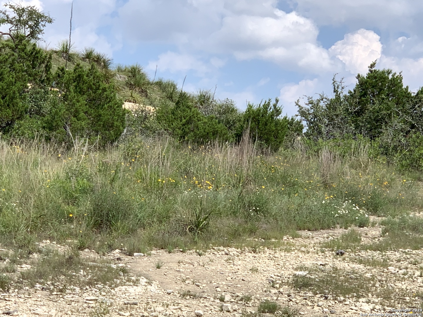 Lot 37 Homestead Mesa , San Antonio, TX, 78255 | 1418300 | Realty Texas LLC