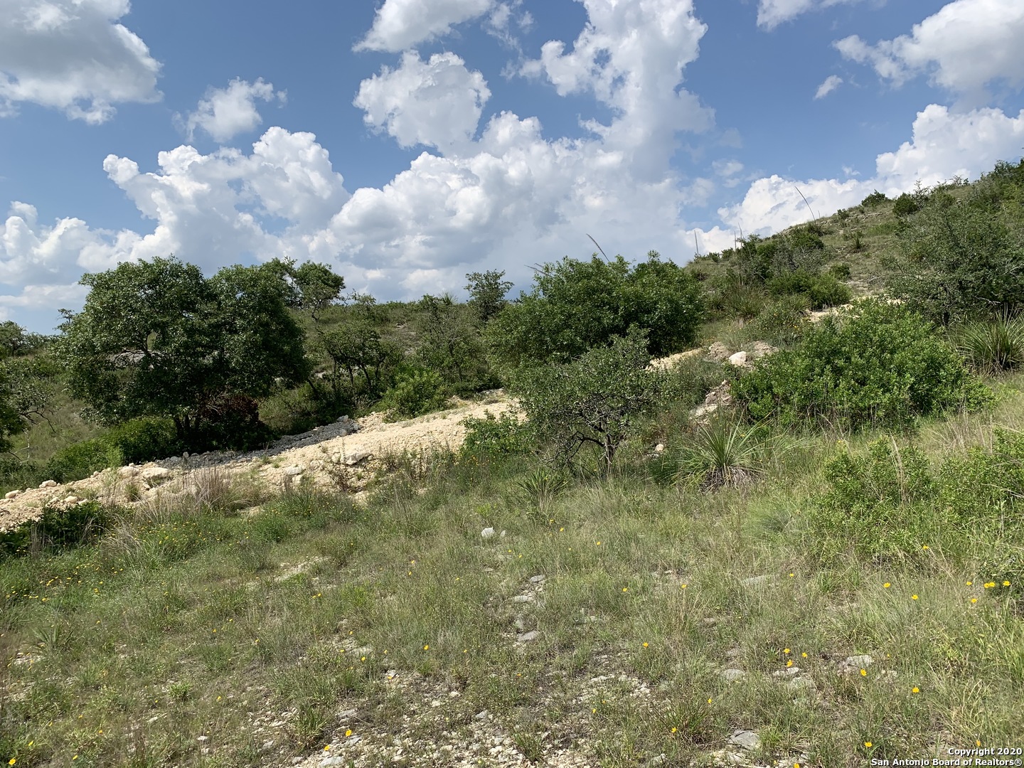 Lot 37 Homestead Mesa , San Antonio, TX, 78255 | 1418300 | Realty Texas LLC