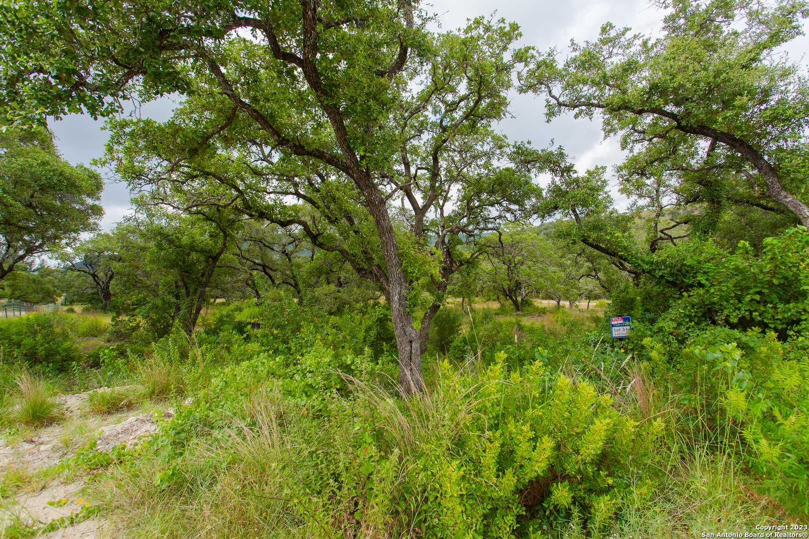 Lot 53 Clear Water Cyn , Helotes, TX, 78023 | 1702228 | Realty Texas LLC
