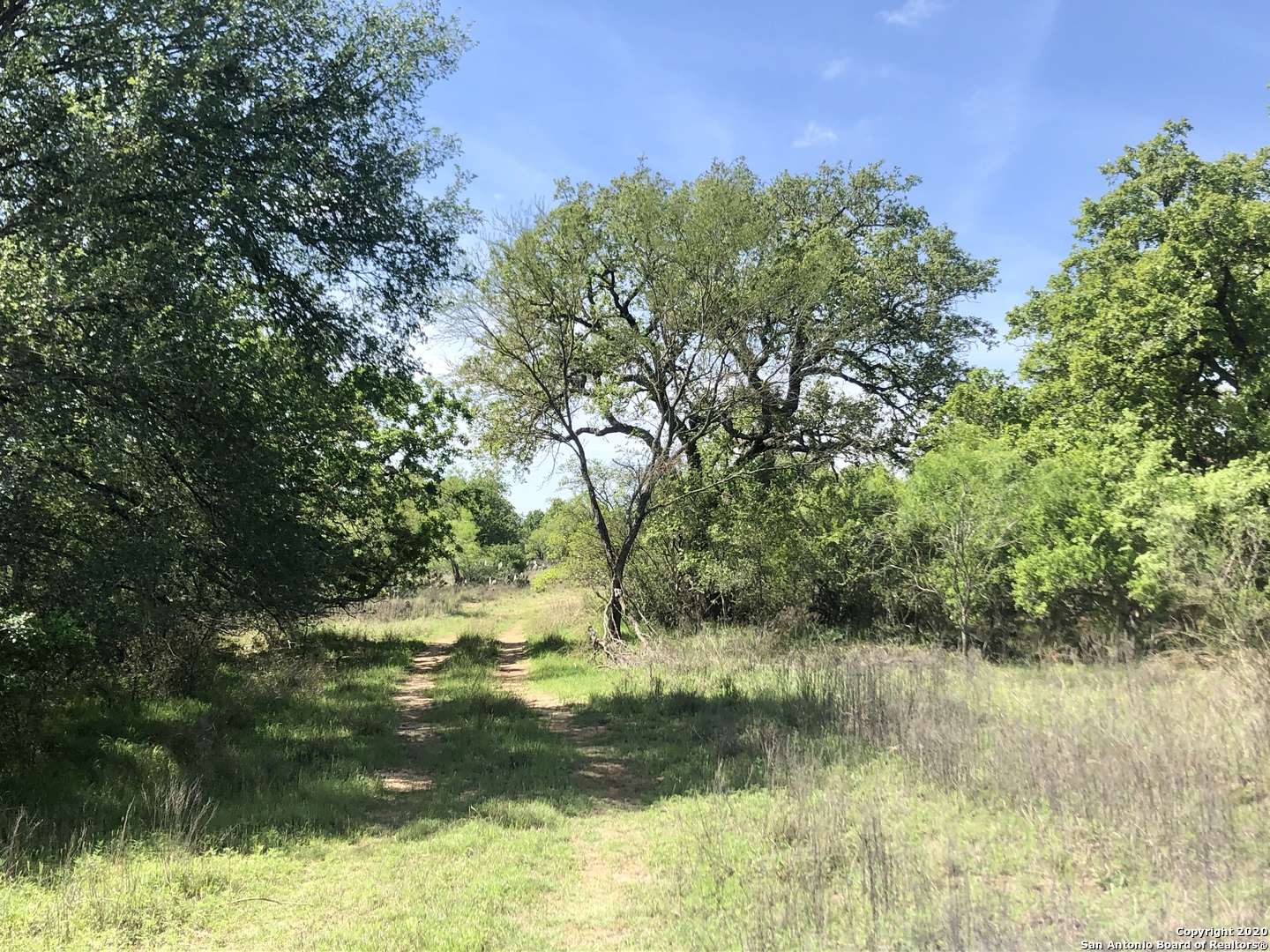 Tract 3 Fm 1333 , Charlotte, TX, 78011 | 1476952 | Realty Texas LLC