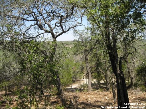 7637 Sky Loop , Garden Ridge, TX, 78266 | 958237 | Realty Texas LLC