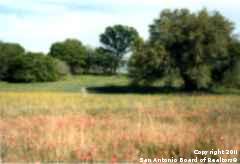 1140 Mariana Rd , Floresville, TX, 78114-4894 | 905511 | Realty Texas LLC