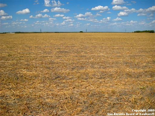 725 Hard Luck Rd , Marion, TX, 78124 | 787220 | Realty Texas LLC