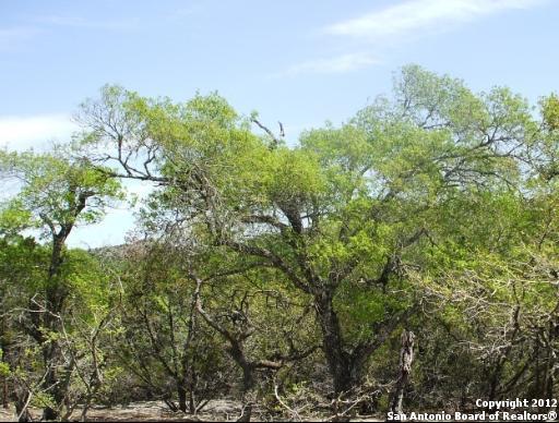 252 (lot 602) Wilderness Crk , Canyon Lake, TX, 78133 | 960775 | Realty Texas LLC